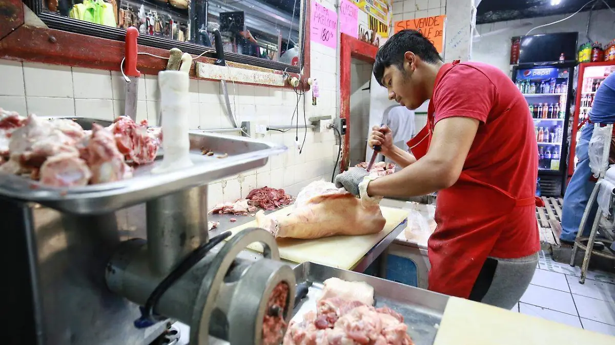 WhatsApp Image 2026-01-29 at 16.43.31