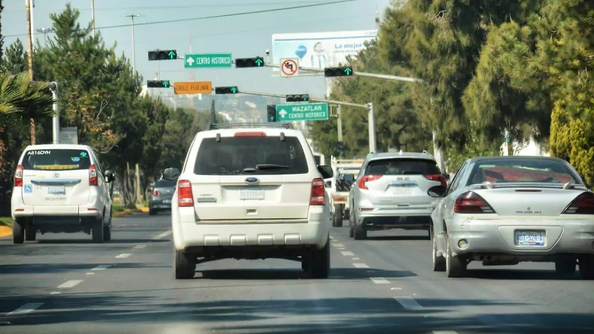 WhatsApp Image 2026-01-29 at 17.11.39