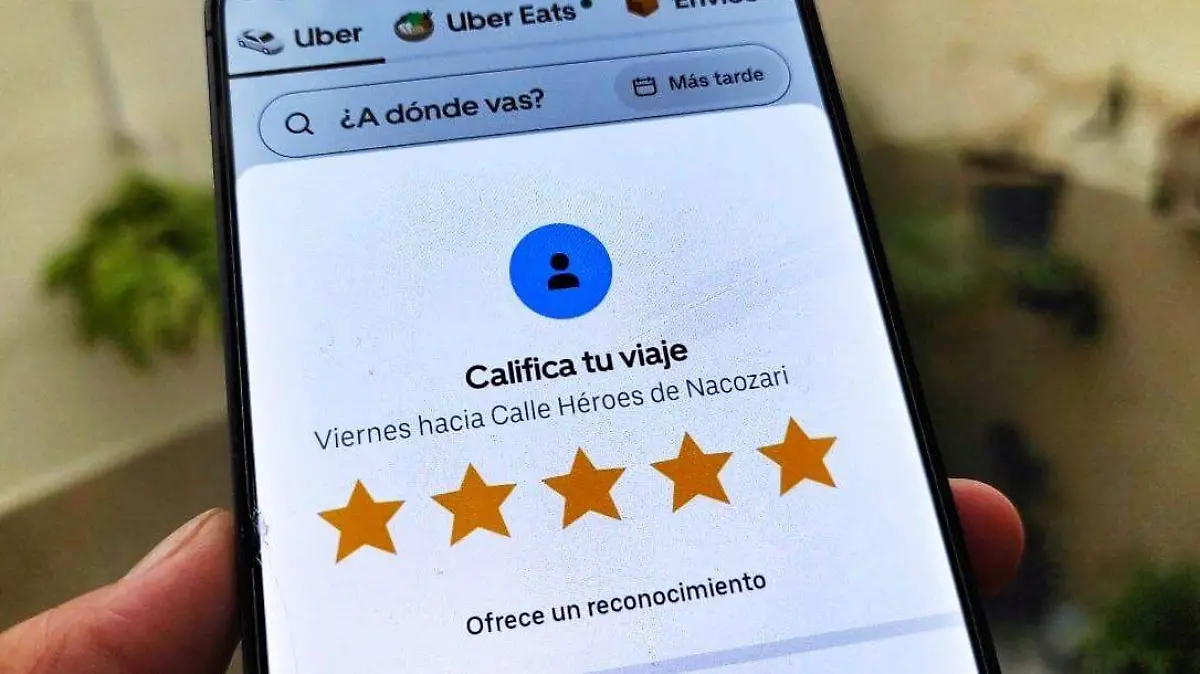 WhatsApp Image 2026-01-29 at 17.49.15