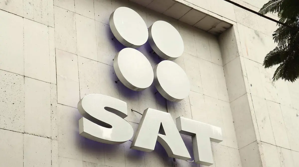 WhatsApp Image 2026-01-21 at 12.13.11 PM