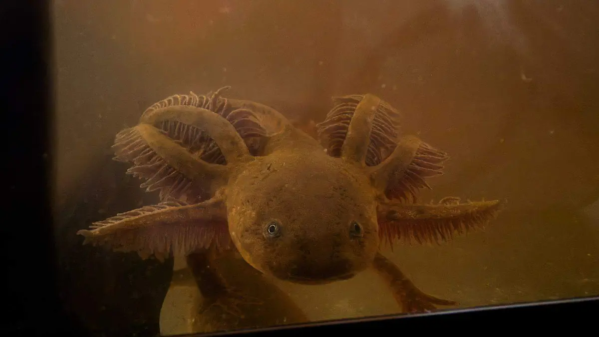 WhatsApp Image 2026-01-31 at 1.44.27 PM