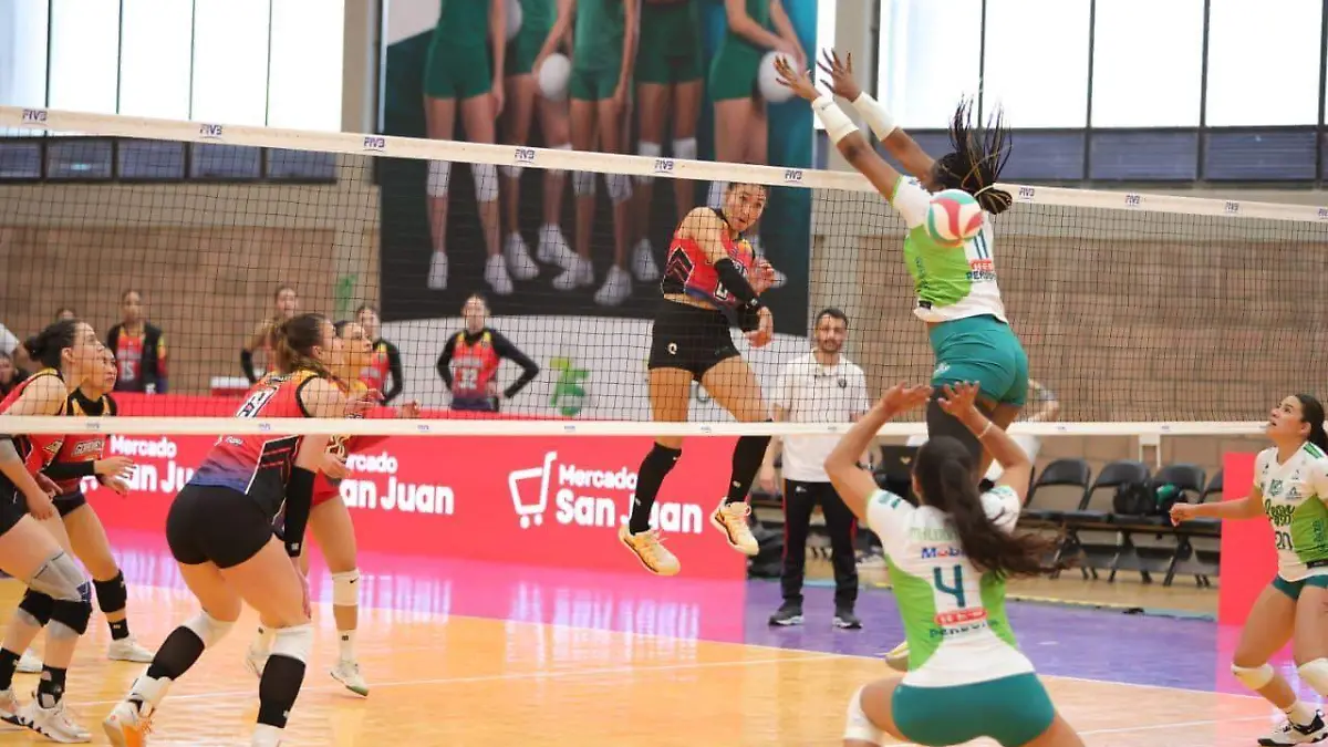 WhatsApp Image 2026-02-01 at 3.18.30 PM