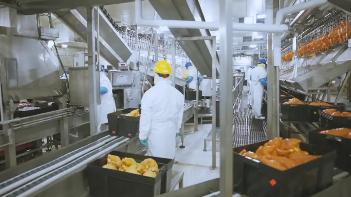 Captura de pantalla 2026-02-06 145041