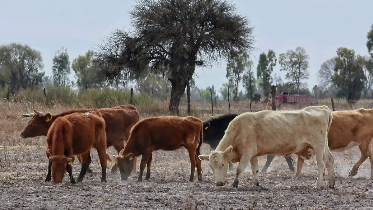 WhatsApp Image 2026-02-06 at 2.17.52 PM