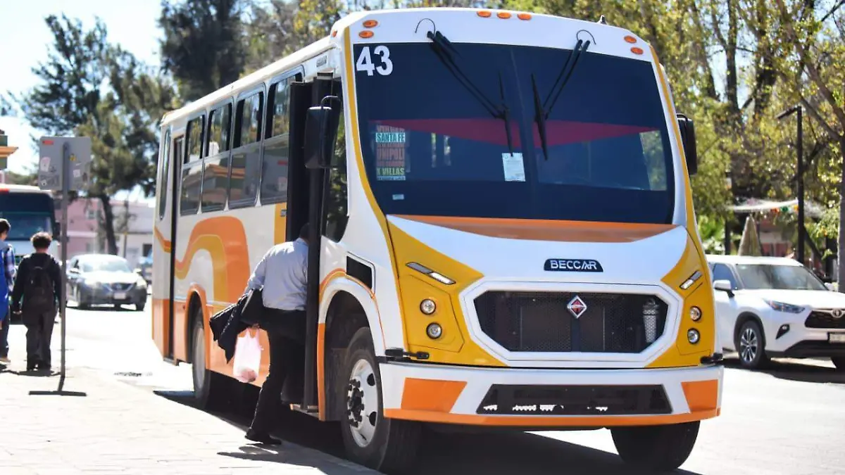 WhatsApp Image 2026-02-06 at 3.17.04 PM