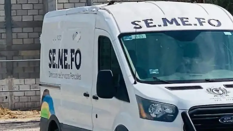 Captura de pantalla 2026-02-07 115127