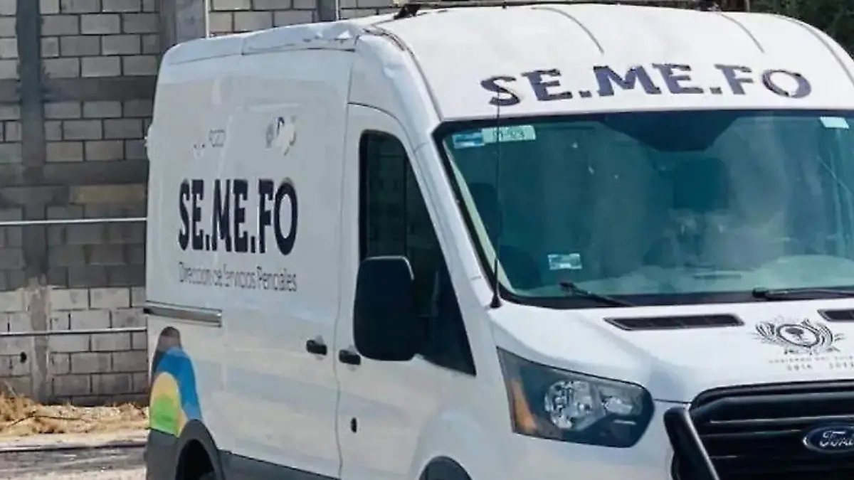 Captura de pantalla 2026-02-07 115127