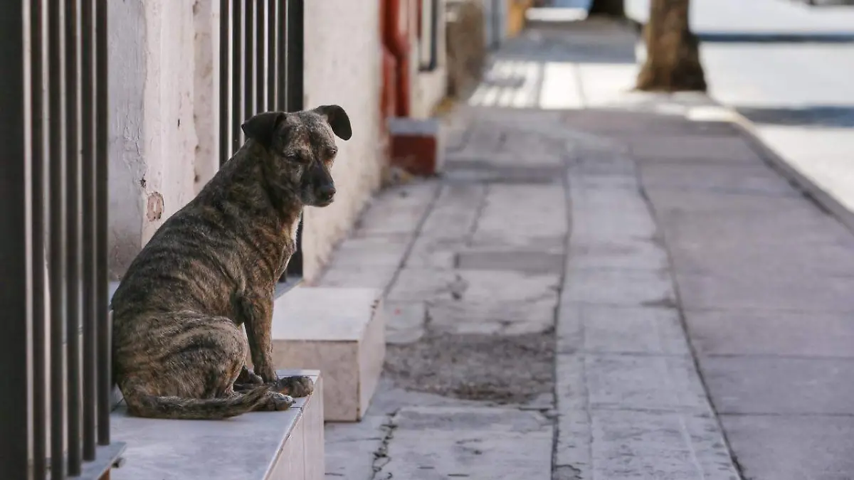 WhatsApp Image 2026-02-07 at 3.47.37 PM