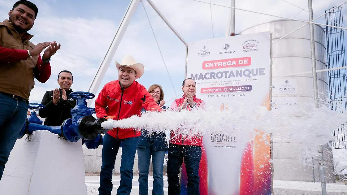 WhatsApp Image 2026-02-07 at 17.19.37