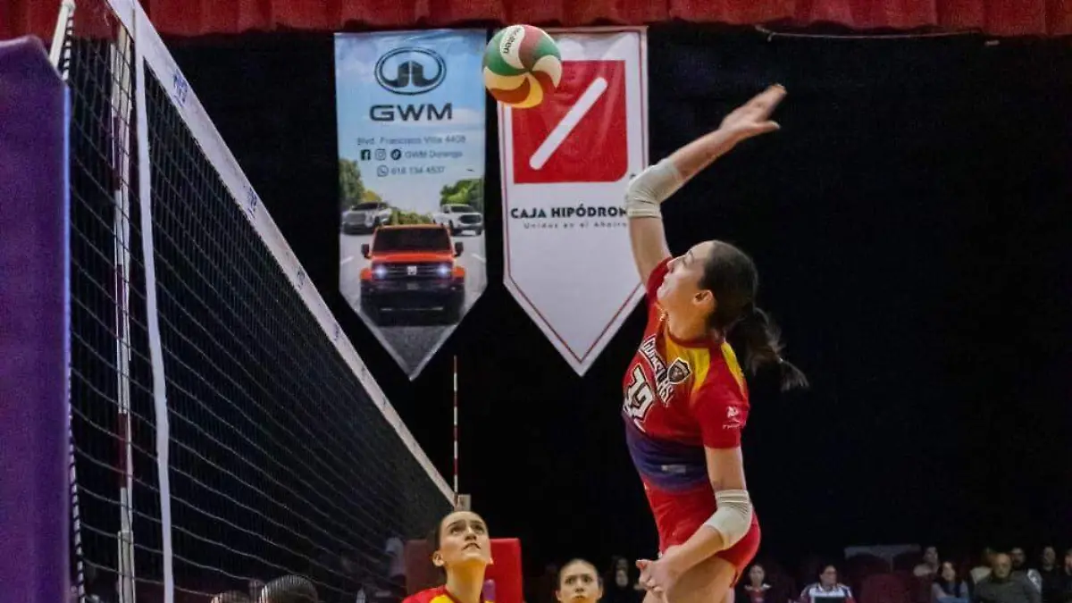 WhatsApp Image 2026-02-07 at 22.26.49