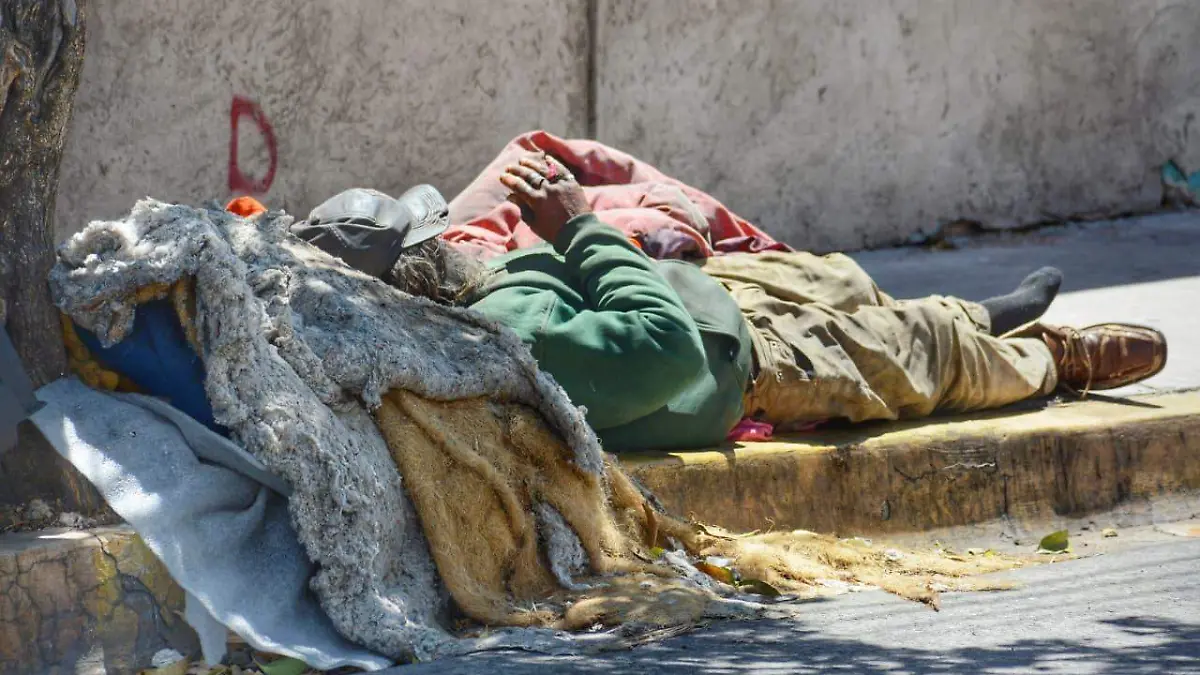 WhatsApp Image 2026-02-07 at 6.47.57 PM