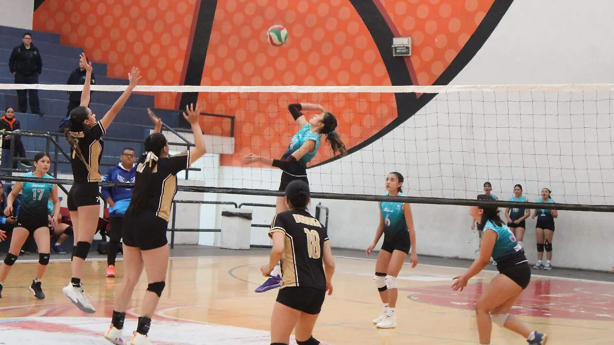 WhatsApp Image 2026-02-06 at 9.20.36 PM