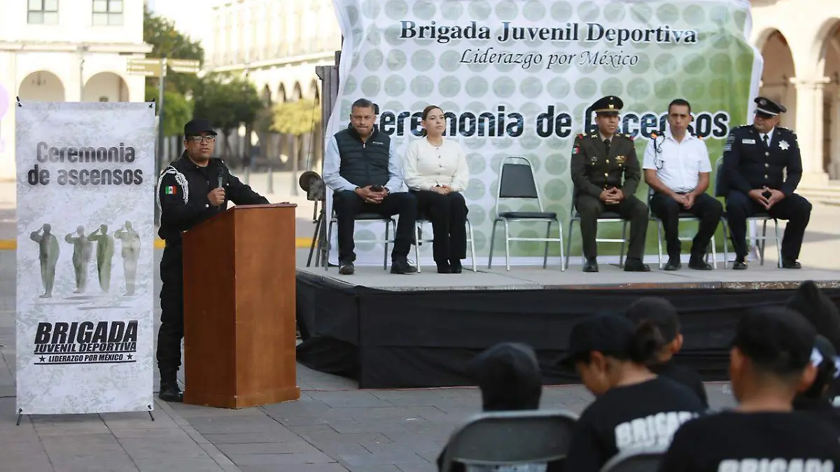 WhatsApp Image 2026-02-08 at 17.58.23 (1)