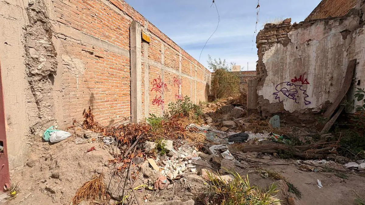 WhatsApp Image 2026-02-08 at 18.07.32