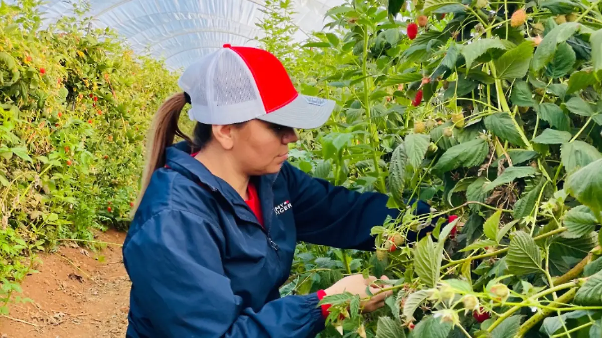 Captura de pantalla 2026-02-10 112414