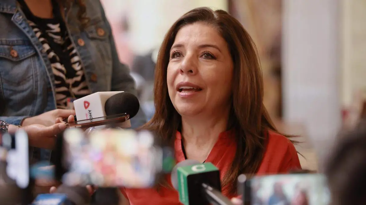 WhatsApp Image 2026-02-10 at 16.57.36