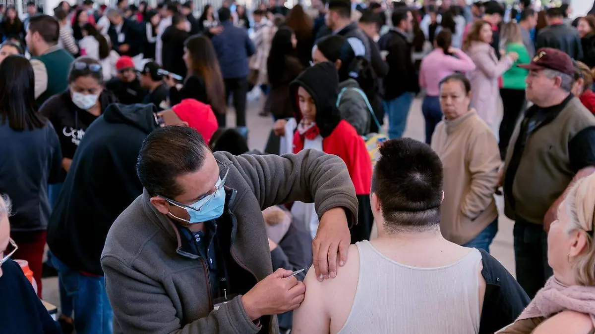 WhatsApp Image 2026-02-11 at 3.24.12 PM (1)