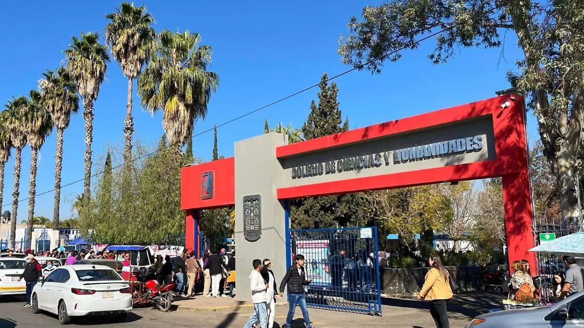 WhatsApp Image 2026-02-11 at 2.46.28 PM