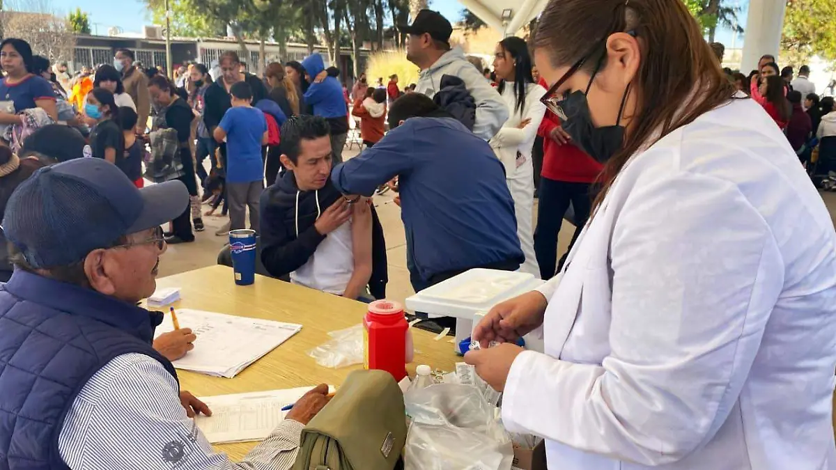 WhatsApp Image 2026-02-11 at 2.46.28 PM (2)