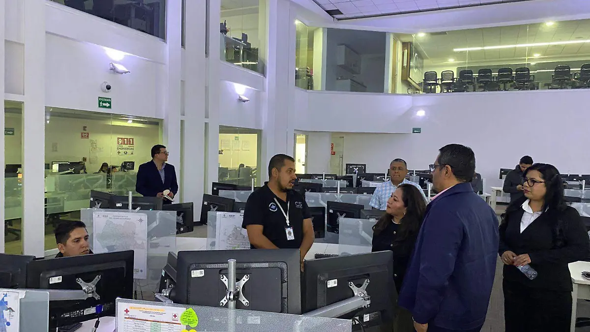 WhatsApp Image 2026-02-11 at 1.17.17 PM