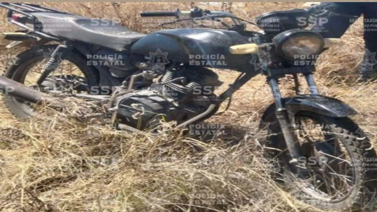 WhatsApp Image 2026-02-12 at 9.14.00 AM