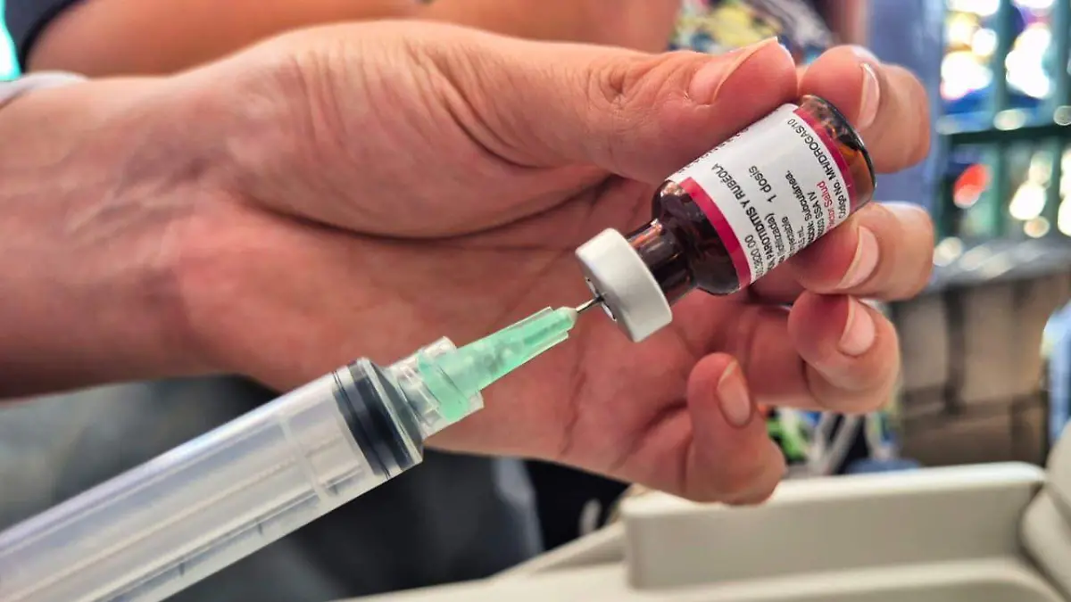 WhatsApp Image 2026-02-12 at 16.53.40