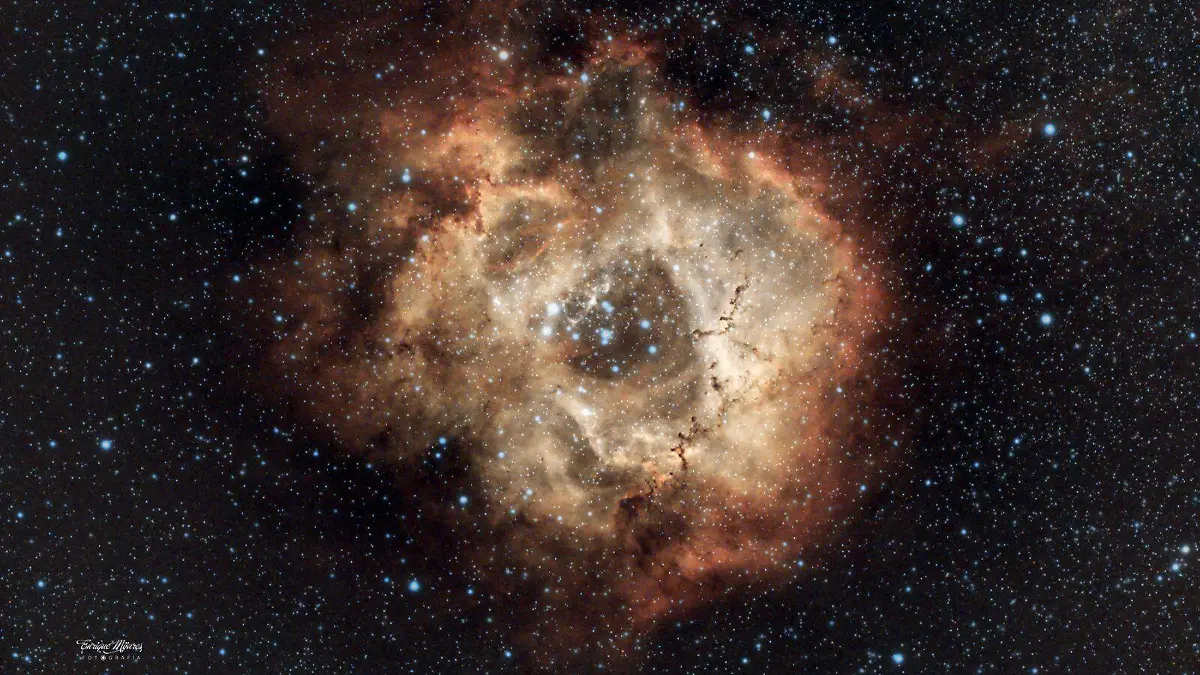 WhatsApp Image 2026-02-12 at 21.25.09