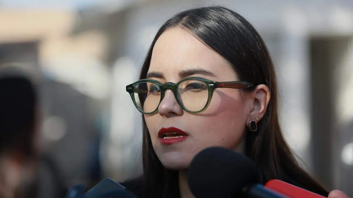 WhatsApp Image 2026-02-12 at 23.38.44 (1)