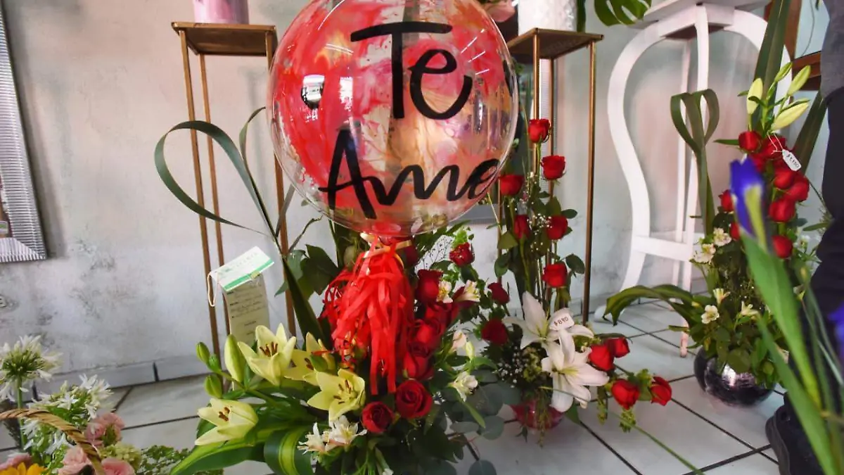 WhatsApp Image 2026-02-13 at 5.45.07 PM