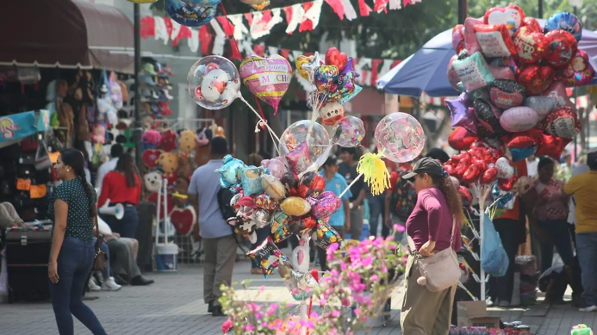 WhatsApp Image 2026-02-14 at 12.02.29 PM (1)