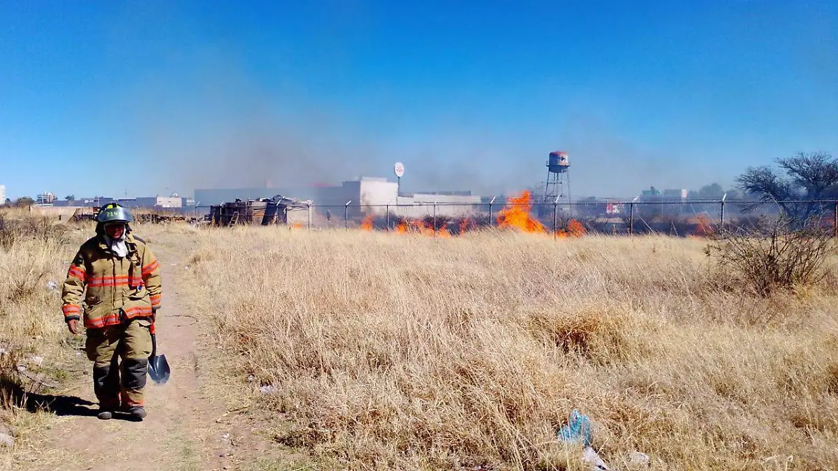 WhatsApp Image 2026-02-14 at 3.45.35 PM