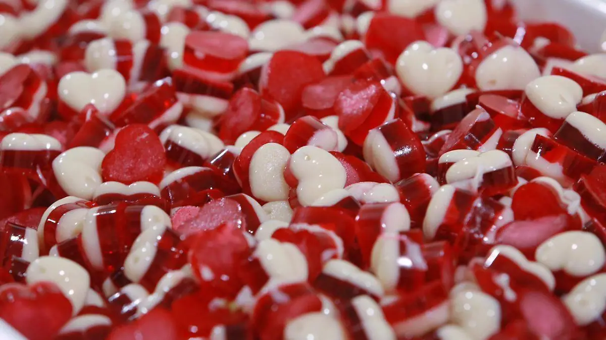 WhatsApp Image 2026-02-14 at 4.20.38 PM (3)