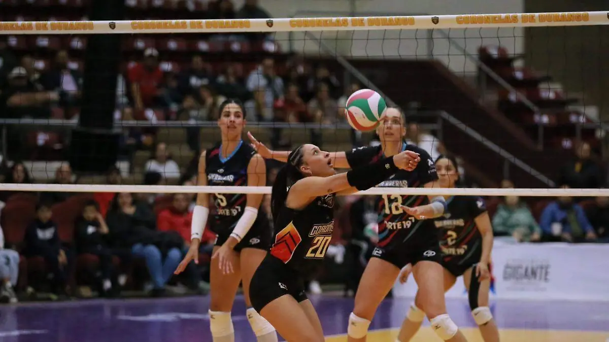 Coronelas de Durango