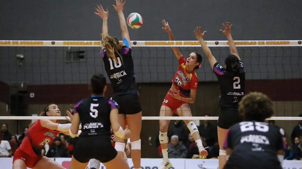 Coronelas de Durango