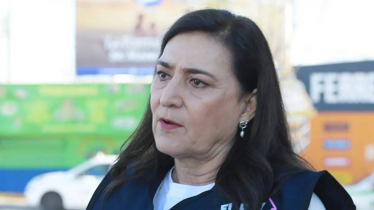 WhatsApp Image 2026-02-14 at 18.03.05