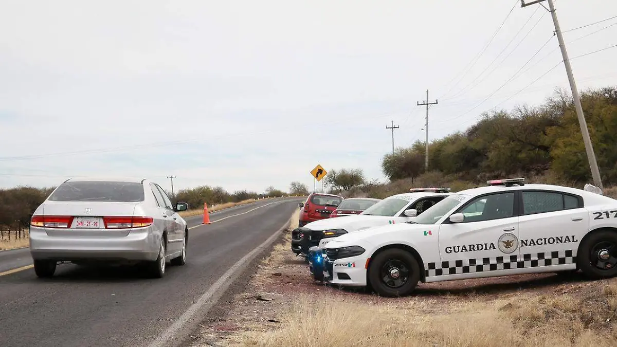 WhatsApp Image 2026-02-14 at 16.59.01