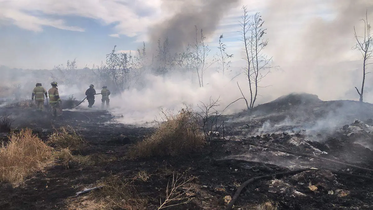 WhatsApp Image 2026-02-15 at 11.12.27 AM (1)