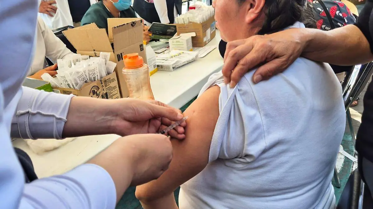 WhatsApp Image 2026-02-15 at 12.13.25 PM