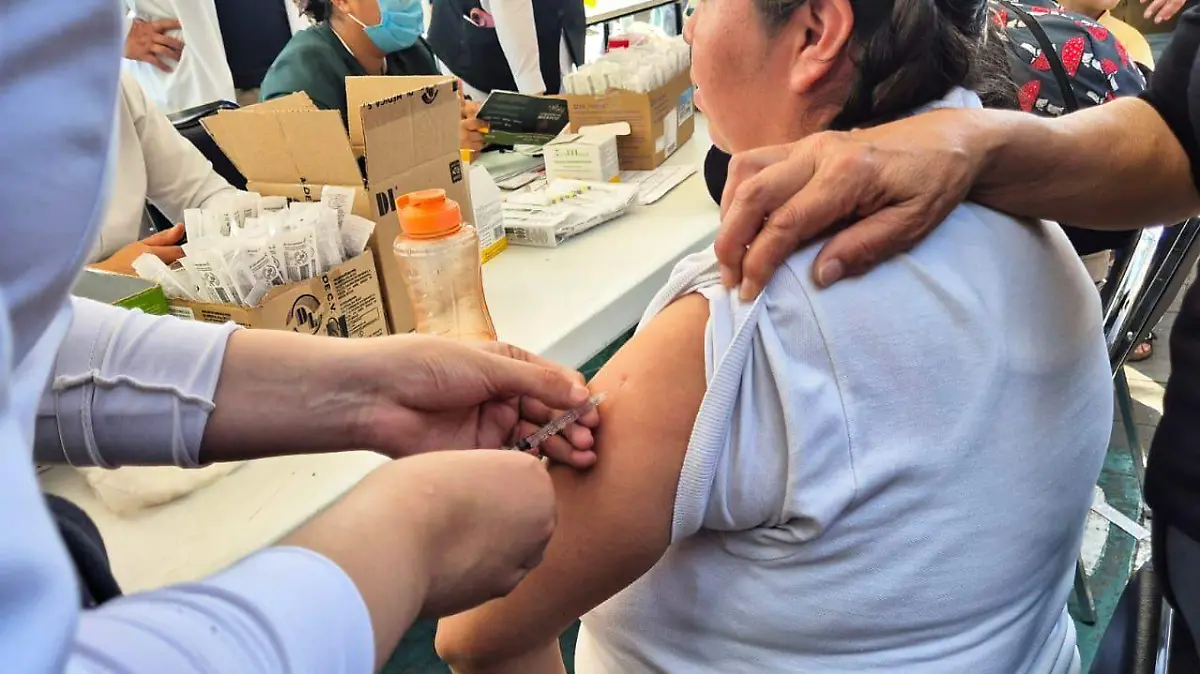 WhatsApp Image 2026-02-15 at 12.13.25 PM