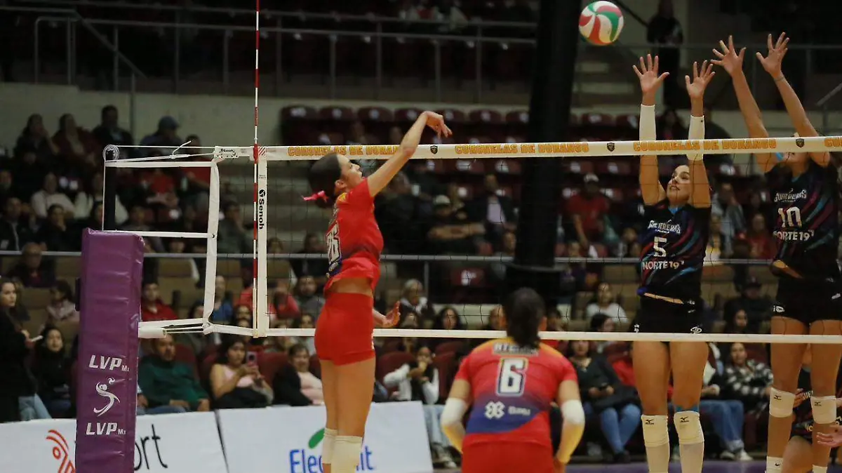 WhatsApp Image 2026-02-14 at 22.34.08