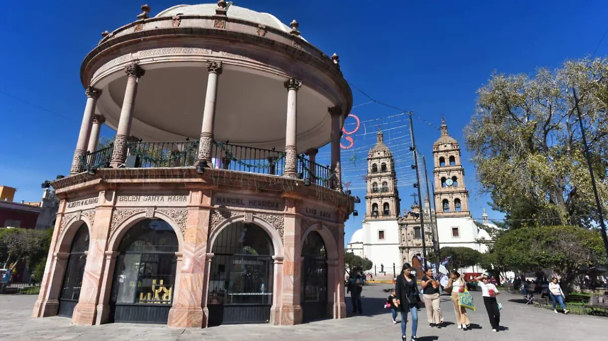 WhatsApp Image 2026-02-15 at 15.27.05