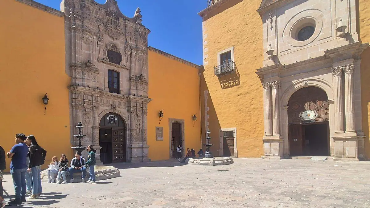 WhatsApp Image 2026-02-15 at 15.44.24