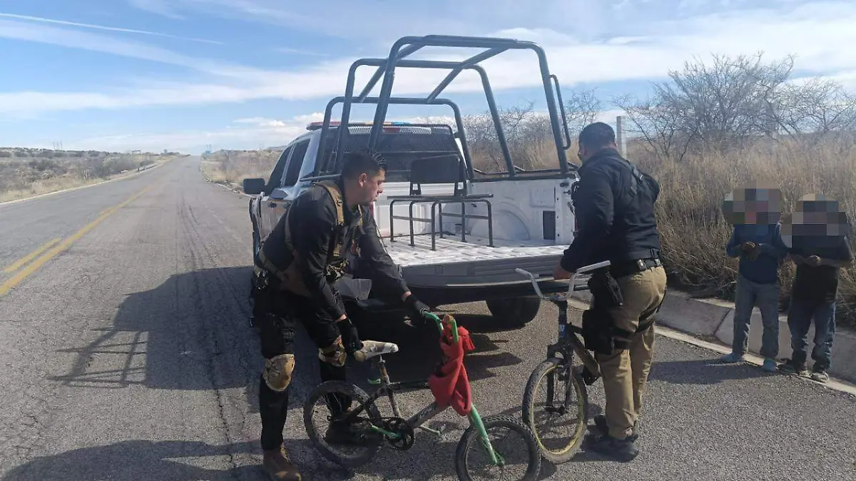 WhatsApp Image 2026-02-16 at 12.33.26 PM