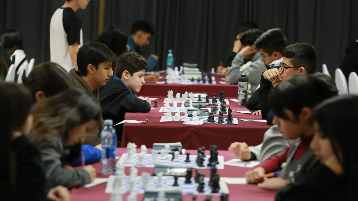 WhatsApp Image 2026-02-16 at 15.50.08