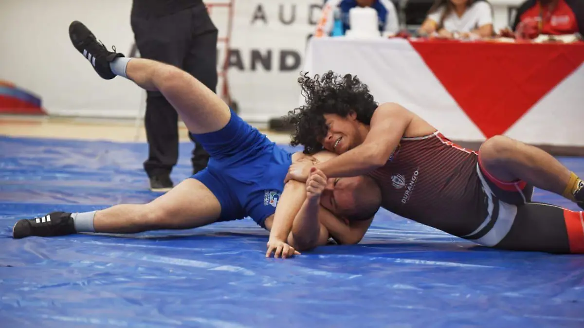 WhatsApp Image 2026-02-16 at 16.11.07