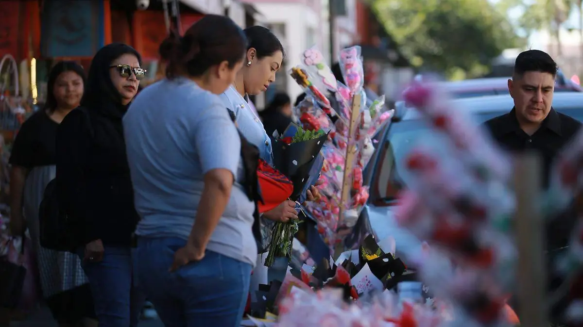 WhatsApp Image 2026-02-14 at 15.23.14