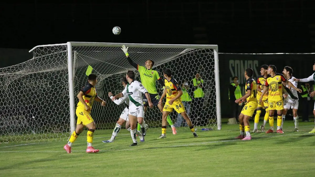 WhatsApp Image 2026-02-16 at 22.56.35