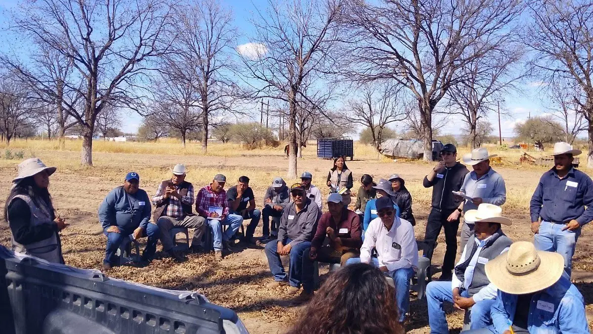 WhatsApp Image 2026-02-16 at 17.55.41 (1)