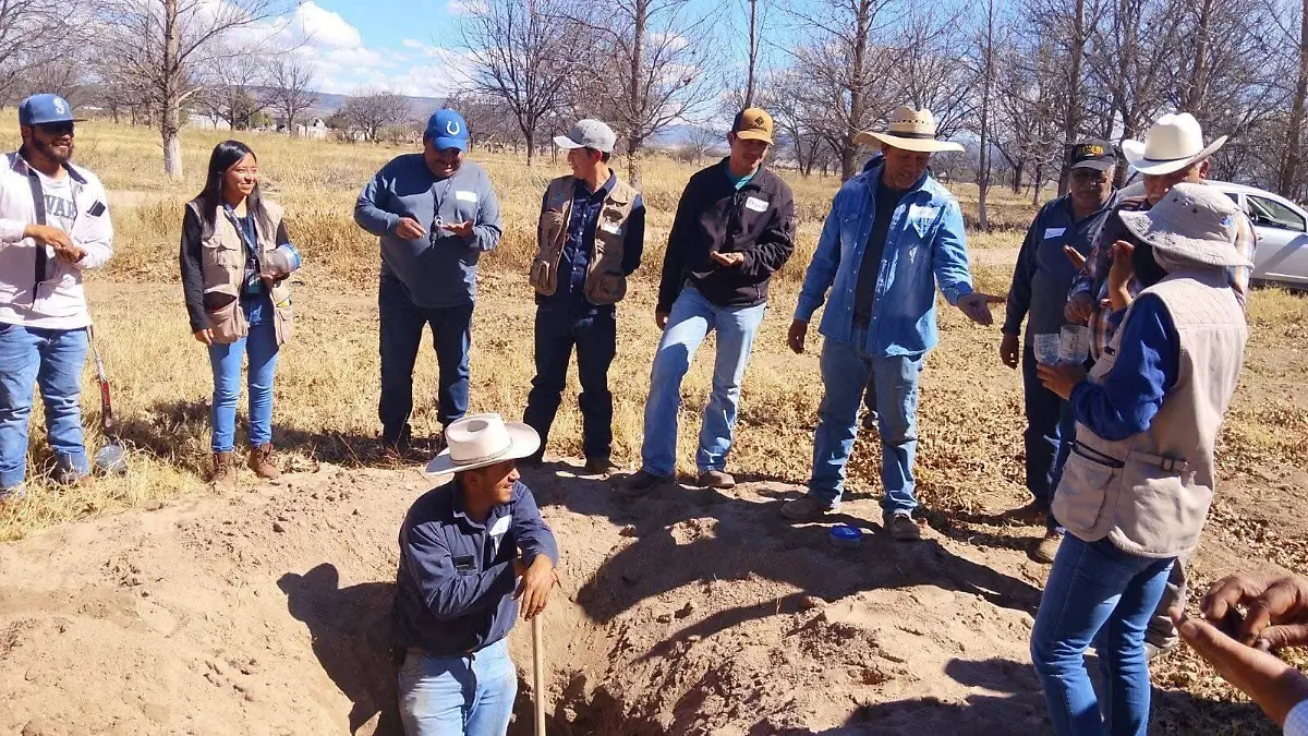 Buscan eliminar el coyotaje con ventas directas a cadenas comerciales