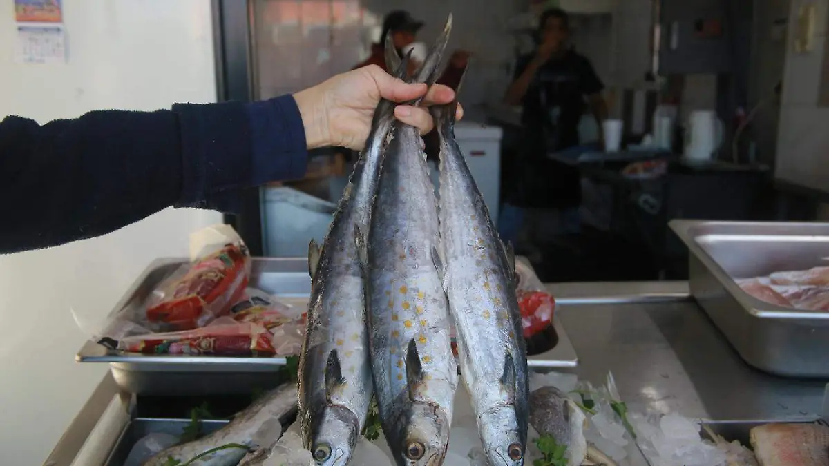 WhatsApp Image 2026-02-17 at 2.42.51 PM (2)